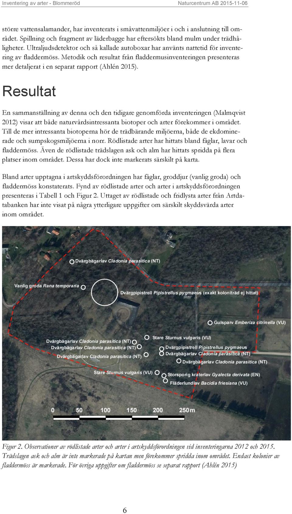 Metodik och resultat från fladdermusinventeringen presenteras mer detaljerat i en separat rapport (Ahlén 2015).