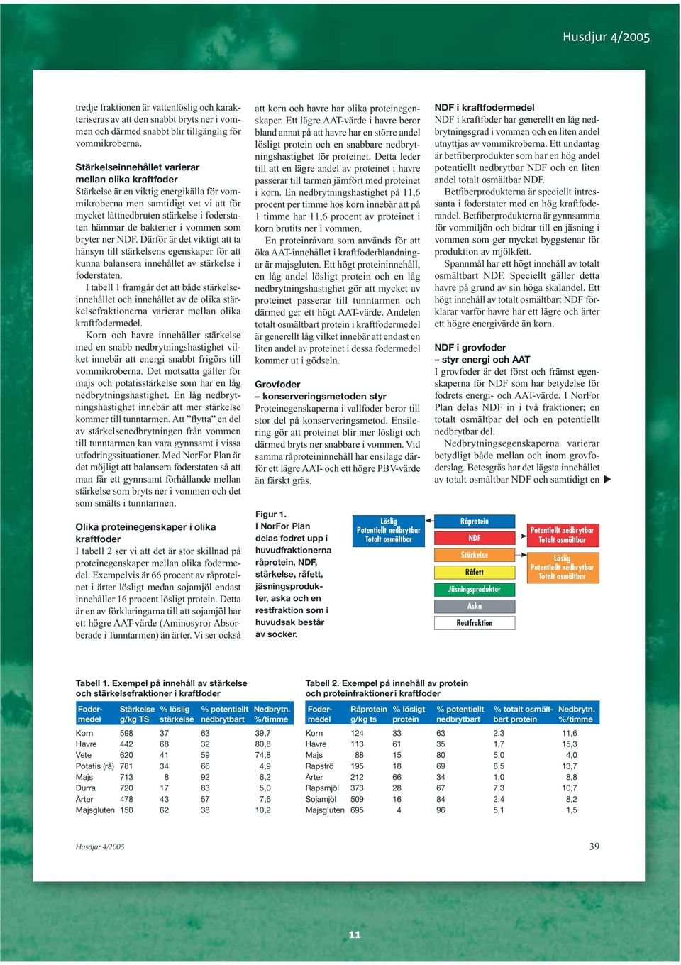 i vommen som bryter ner NDF. Därför är det viktigt att ta hänsyn till stärkelsens egenskaper för att kunna balansera innehållet av stärkelse i foderstaten.