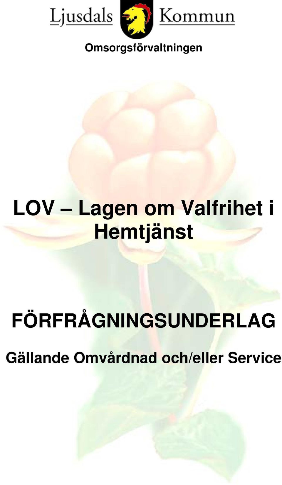 Hemtjänst