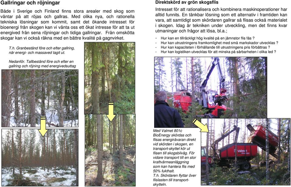 tidiga gallringar. Från omskötta skogar kan vi också räkna med en bättre kvalité på gagnvirket. T.h. Granbestånd före och efter gallring, när energi- och massaved tagit ut.