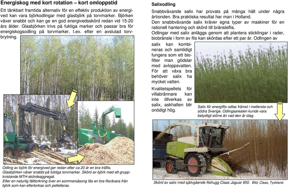 efter en avslutad torvbrytning. Salixodling Snabbväxande salix har provats på många håll under några årtionden. Bra praktiska resultat har man i Holland.