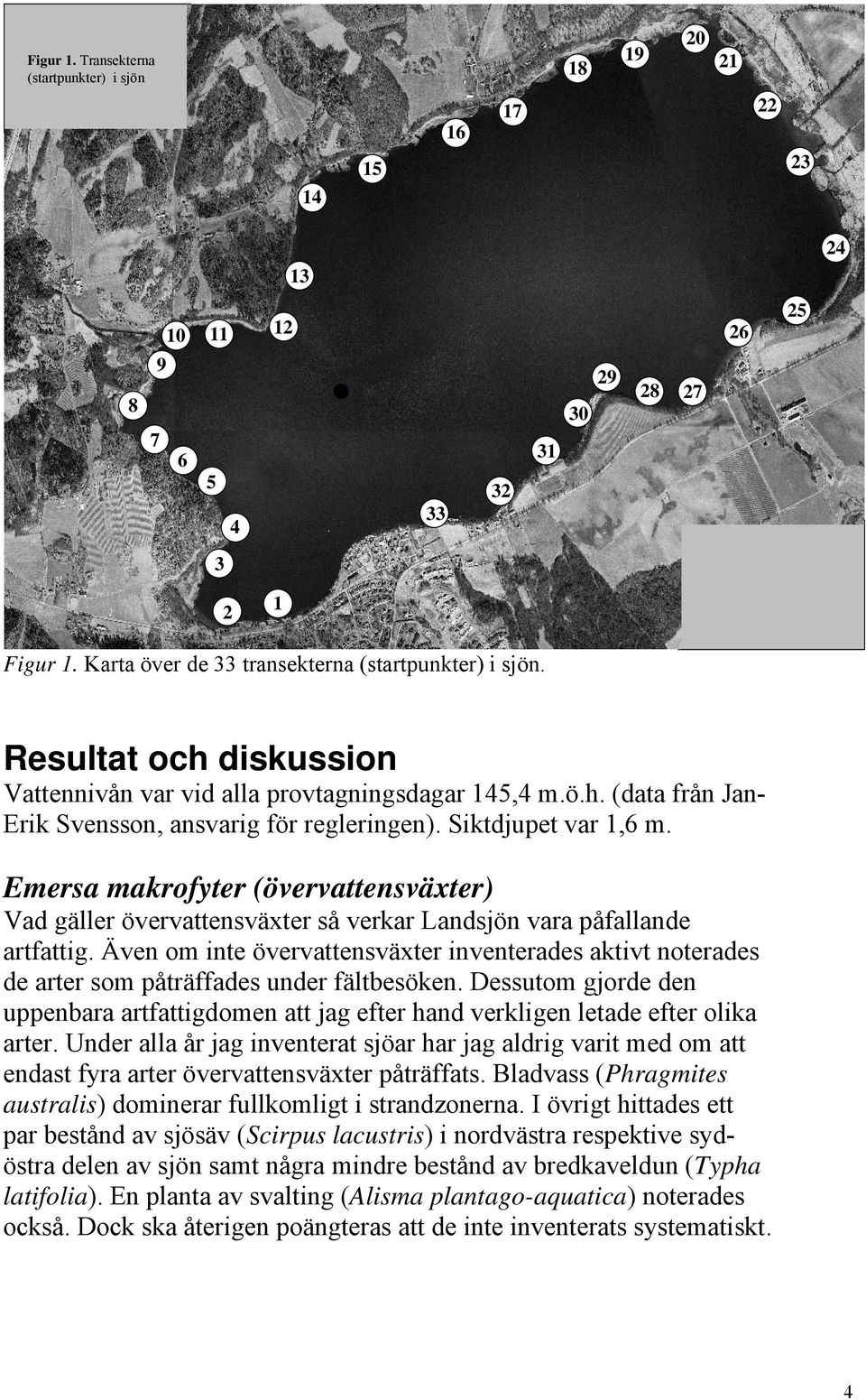 Emersa makrofyter (övervattensväxter) Vad gäller övervattensväxter så verkar Landsjön vara påfallande artfattig.