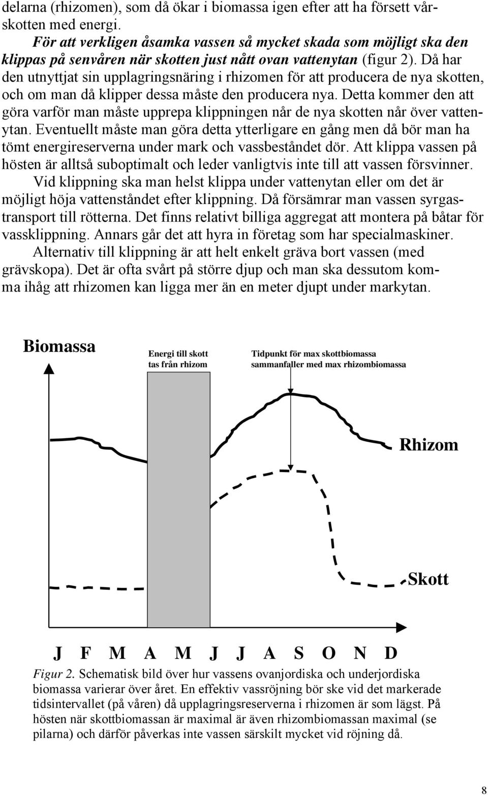 Då har den utnyttjat sin upplagringsnäring i rhizomen för att producera de nya skotten, och om man då klipper dessa måste den producera nya.