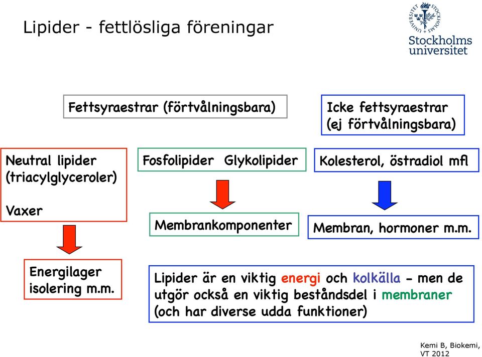 Membrankomponenter! Kolesterol, östradiol mfl! Membran, hormoner m.m.! Energilager! isolering m.m.! Lipider är en viktig energi och kolkälla - men de!