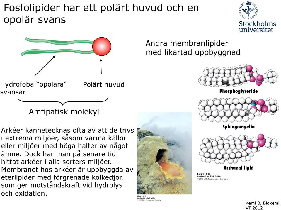 källor eller miljöer med höga halter av något ämne. Dock har man på senare tid hittat arkéer i alla sorters miljöer.