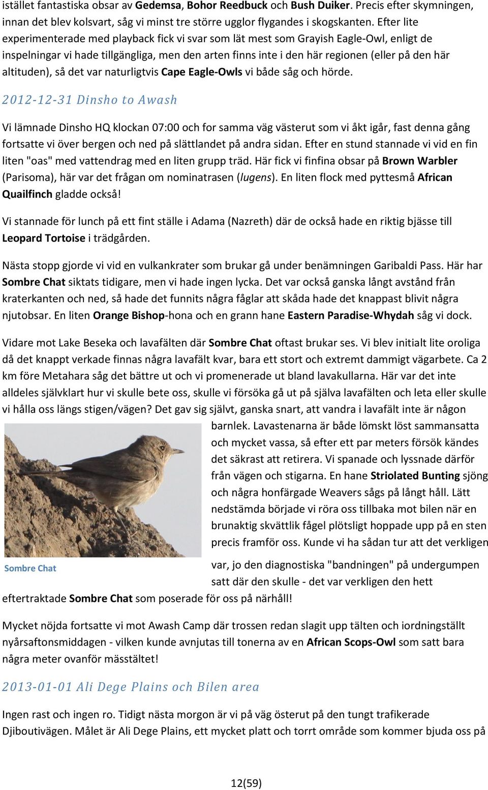 altituden), så det var naturligtvis Cape Eagle-Owls vi både såg och hörde.