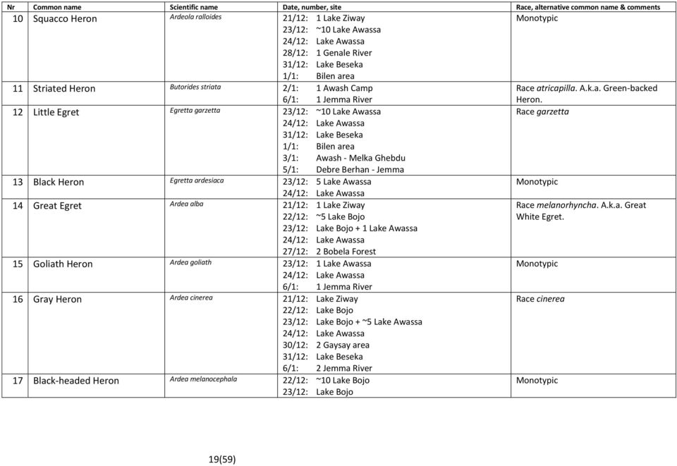 Black Heron Egretta ardesiaca 23/12: 5 Lake Awassa 24/12: Lake Awassa 14 Great Egret Ardea alba 21/12: 1 Lake Ziway 22/12: ~5 Lake Bojo 23/12: Lake Bojo + 1 Lake Awassa 24/12: Lake Awassa 27/12: 2