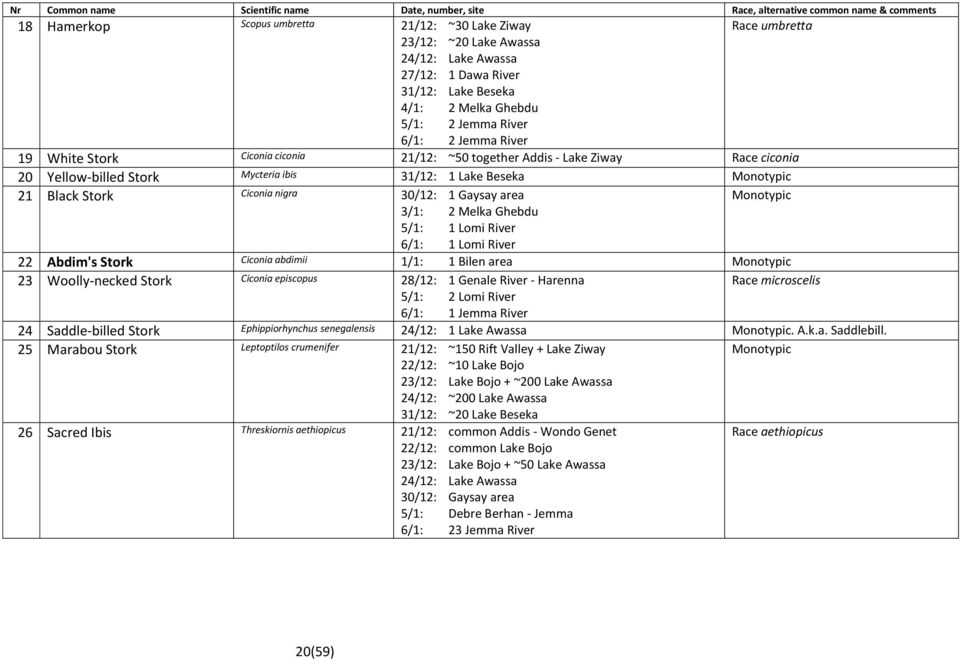 3/1: 2 Melka Ghebdu 5/1: 1 Lomi River 6/1: 1 Lomi River 22 Abdim's Stork Ciconia abdimii 1/1: 1 Bilen area 23 Woolly-necked Stork Ciconia episcopus 28/12: 1 Genale River - Harenna Race microscelis