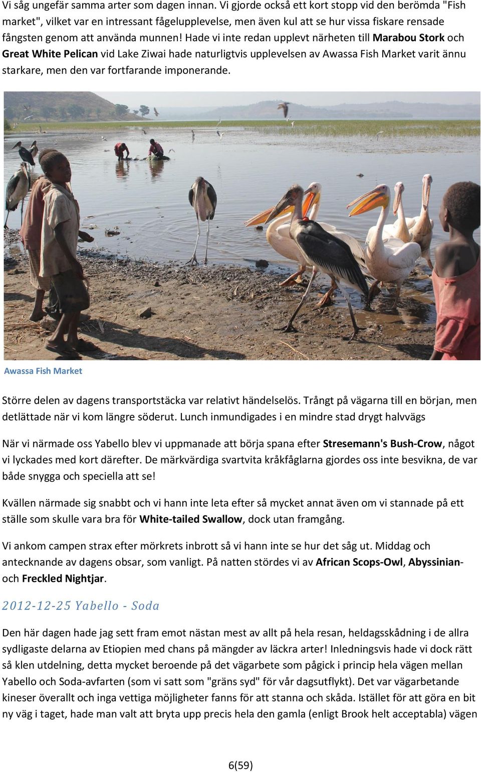 Hade vi inte redan upplevt närheten till Marabou Stork och Great White Pelican vid Lake Ziwai hade naturligtvis upplevelsen av Awassa Fish Market varit ännu starkare, men den var fortfarande