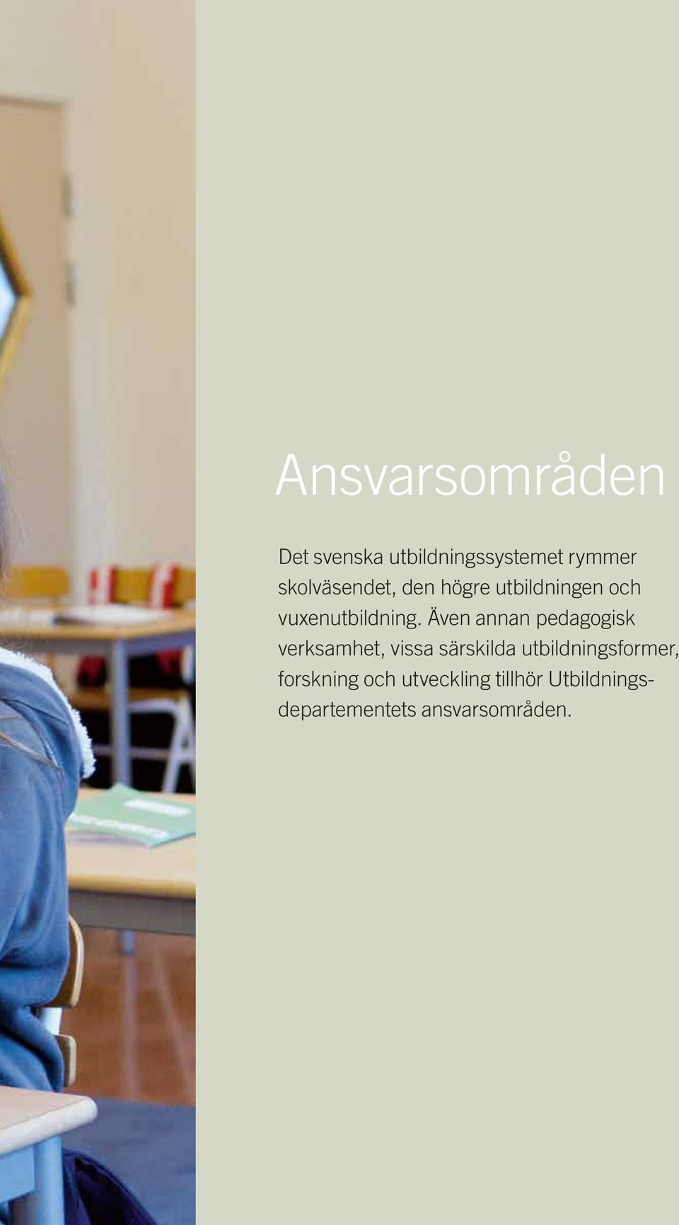 Även annan pedagogisk verksamhet, vissa särskilda