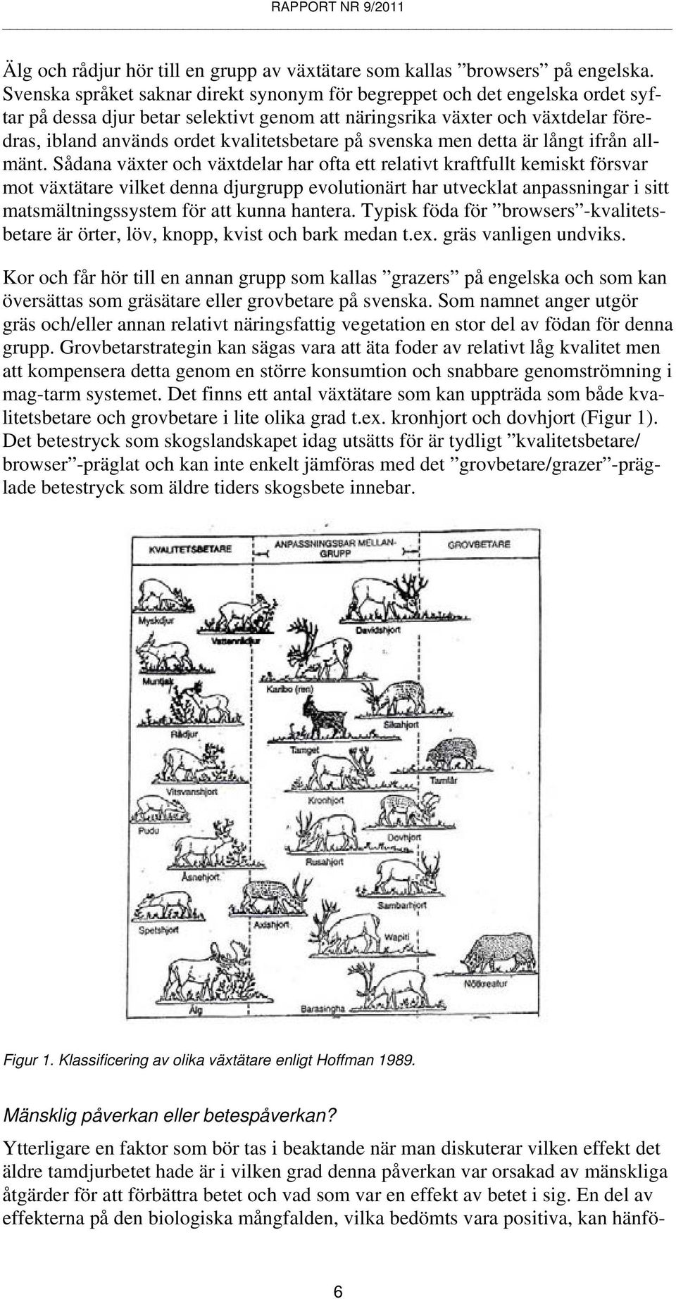 svenska men detta är långt från allmänt.