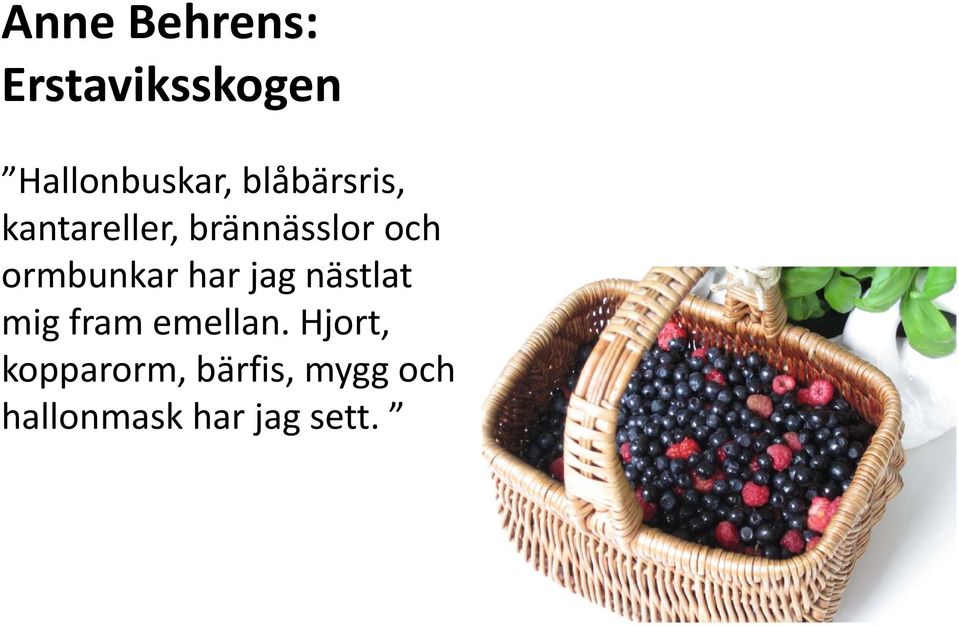 ormbunkar har jag nästlat mig fram emellan.