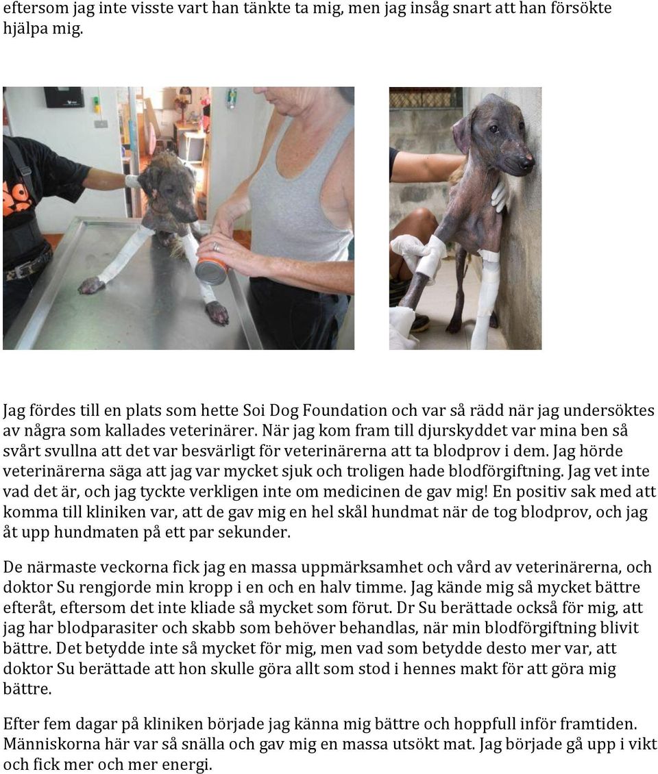 När jag kom fram till djurskyddet var mina ben så svårt svullna att det var besvärligt för veterinärerna att ta blodprov i dem.