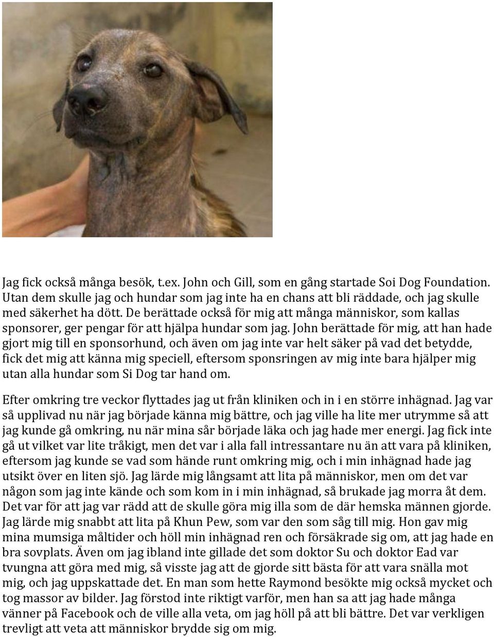 John berättade för mig, att han hade gjort mig till en sponsorhund, och även om jag inte var helt säker på vad det betydde, fick det mig att känna mig speciell, eftersom sponsringen av mig inte bara