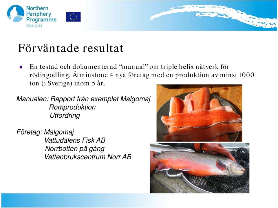 g Åtminstone 4 nya företag med en produktion av minst 1000 ton (i Sverige) inom 5