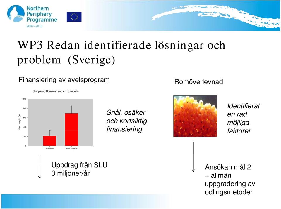 Snål, osäker och kortsiktig finansiering Identifierat t en rad möjliga faktorer 0 Hornavan