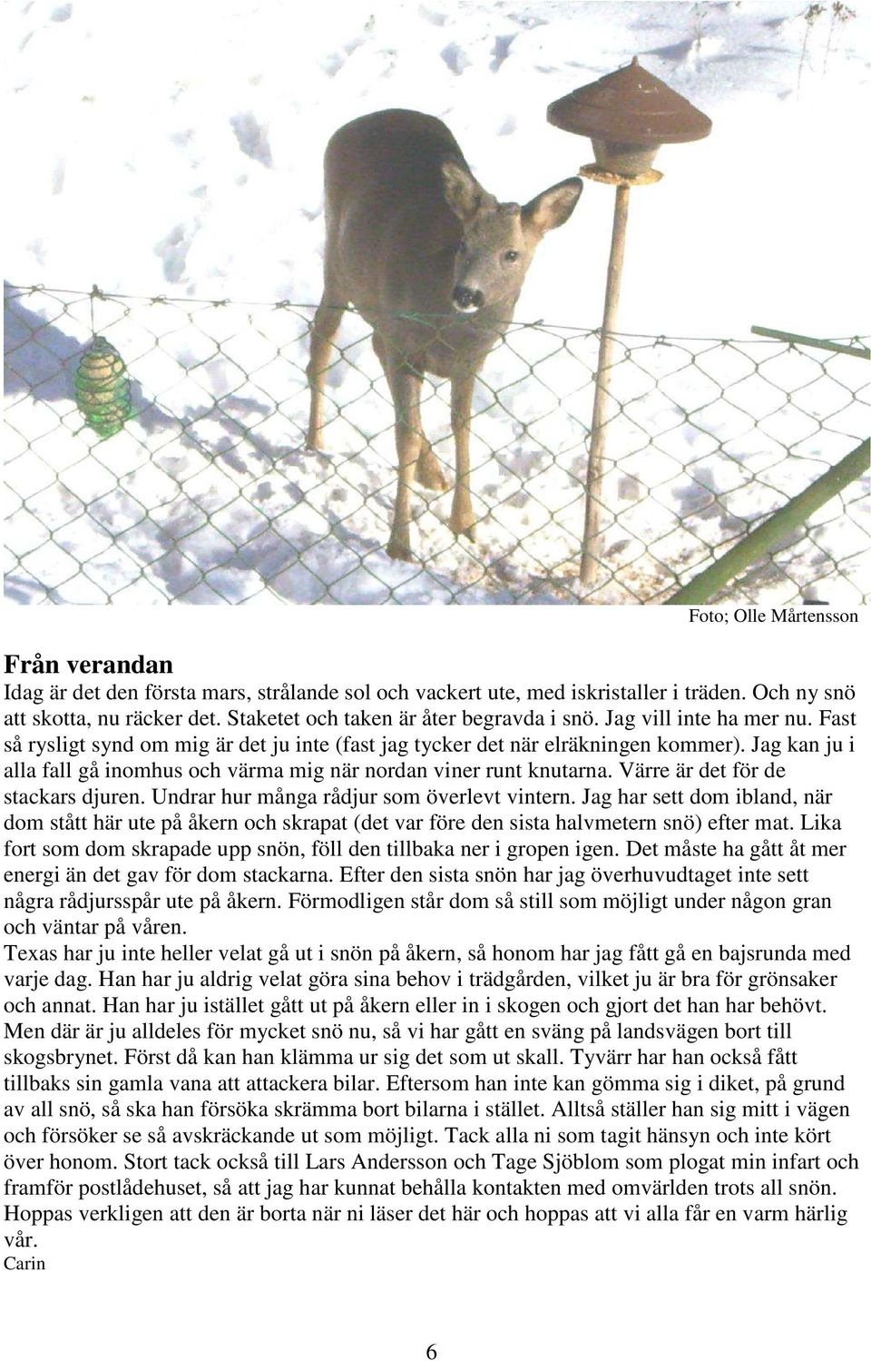 Jag kan ju i alla fall gå inomhus och värma mig när nordan viner runt knutarna. Värre är det för de stackars djuren. Undrar hur många rådjur som överlevt vintern.