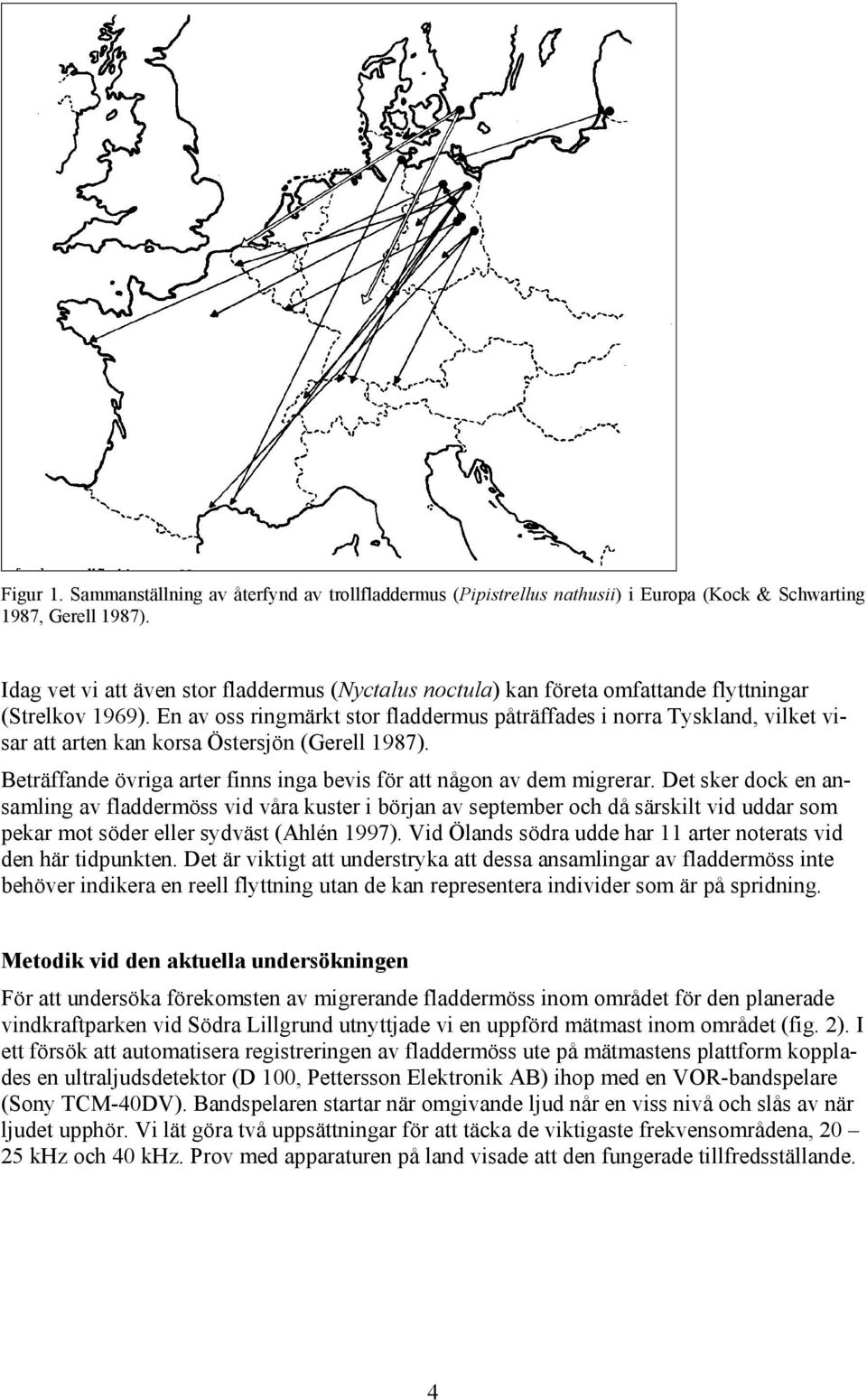 En av oss ringmärkt stor fladdermus påträffades i norra Tyskland, vilket visar att arten kan korsa Östersjön (Gerell 1987). Beträffande övriga arter finns inga bevis för att någon av dem migrerar.