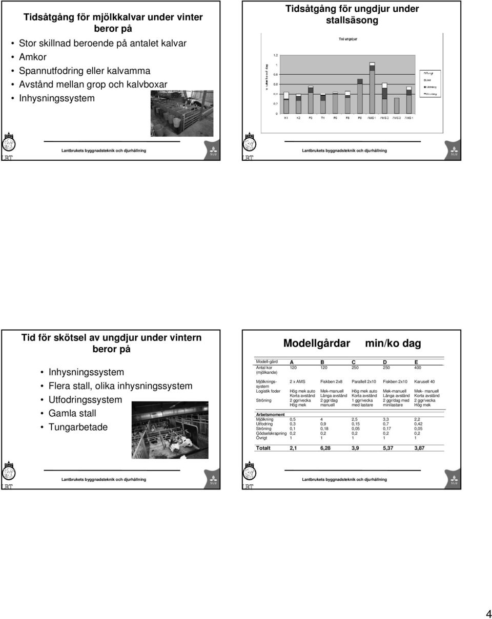 Flera stall, olika inhysningssystem Utfodringssystem Gamla stall Tungarbetade Modell-gård A B C D E Antal kor 120 120 250 250 400 (mjölkande) Mjölkningssystem Logistik foder Ströning 2 x AMS Fiskben