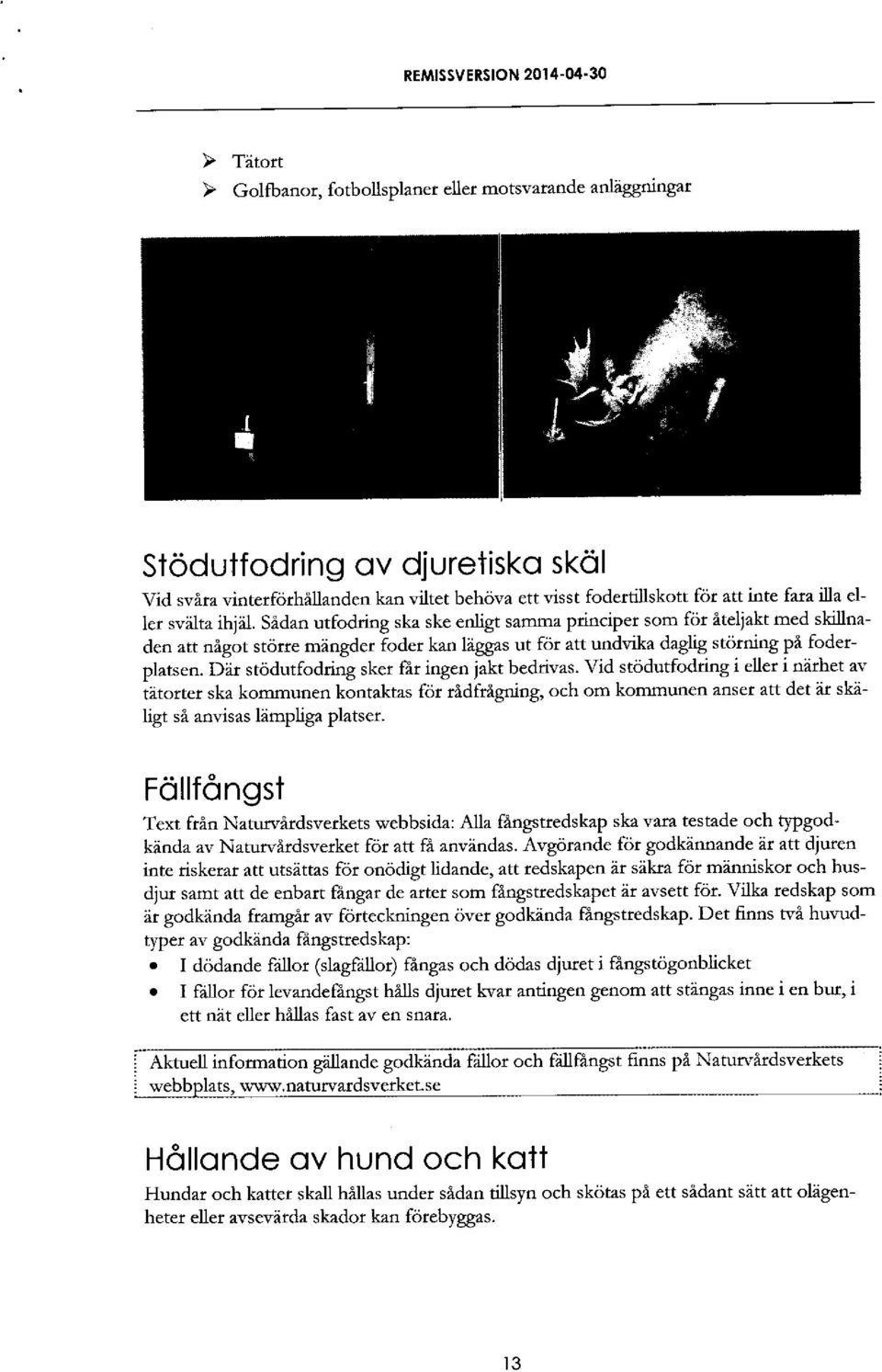 ggas ut for att undvika daglig storning pi foderplatsen. Dir stodutfodring sket {lr ingen jakt bedtivas.