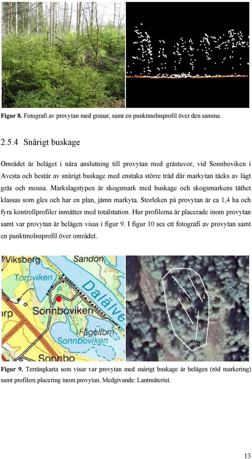 mossa. Markslagstypen är skogsmark med buskage och skogsmarkens täthet klassas som gles och har en plan, jämn markyta.