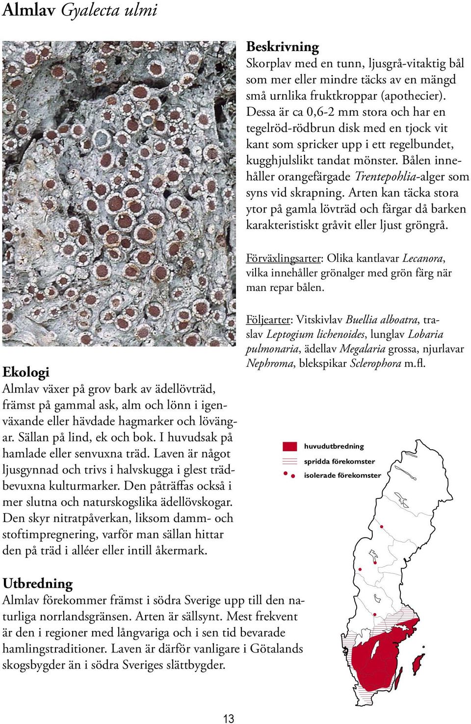 Den skyr nitratpåverkan, liksom damm- och stoftimpregnering, varför man sällan hittar den på träd i alléer eller intill åkermark.