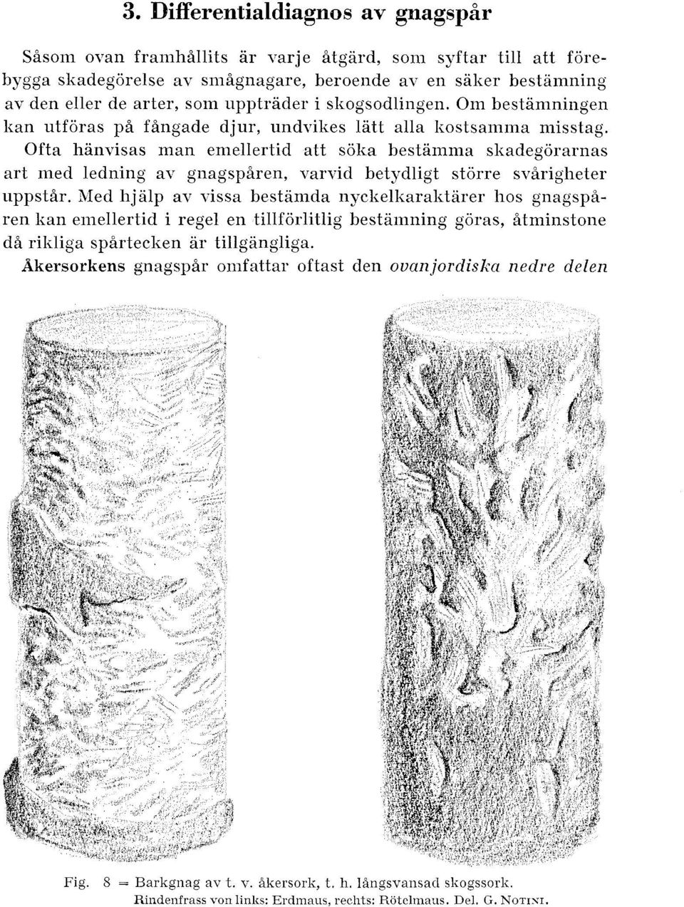 Ofta hanvisas man emellertid att soka bestarnma sliade," ~orarnas art ined ledning av gnagspsren, varvid betydligt storre svsrigheter uppstir.