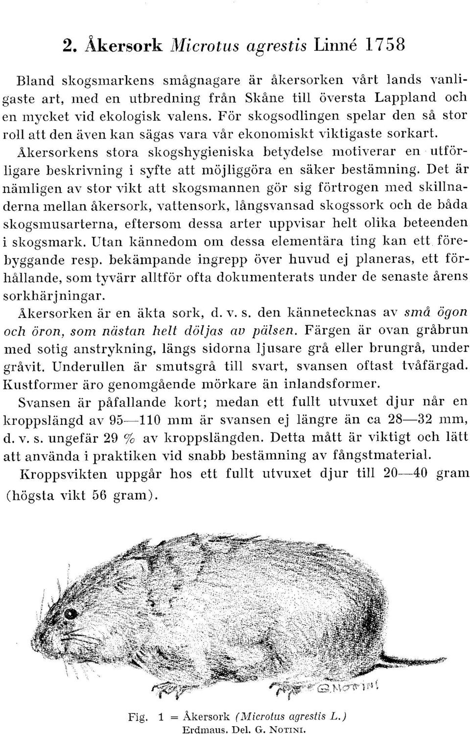 Wkersorliens stora sliogshygienislia betydelse motiverar en utforligare besltrivning i syfte att mojliggora en salier bestamning.