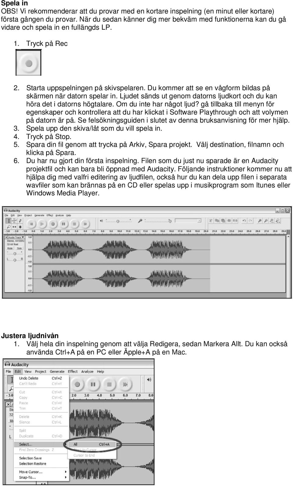 Du kommer att se en vågform bildas på skärmen när datorn spelar in. Ljudet sänds ut genom datorns ljudkort och du kan höra det i datorns högtalare. Om du inte har något ljud?