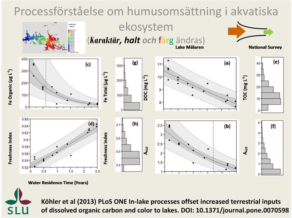 lake processes offset increased terrestrial inputs of dissolved