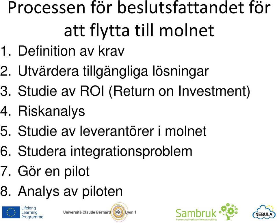 Studie av ROI (Return on Investment) 4. Riskanalys 5.