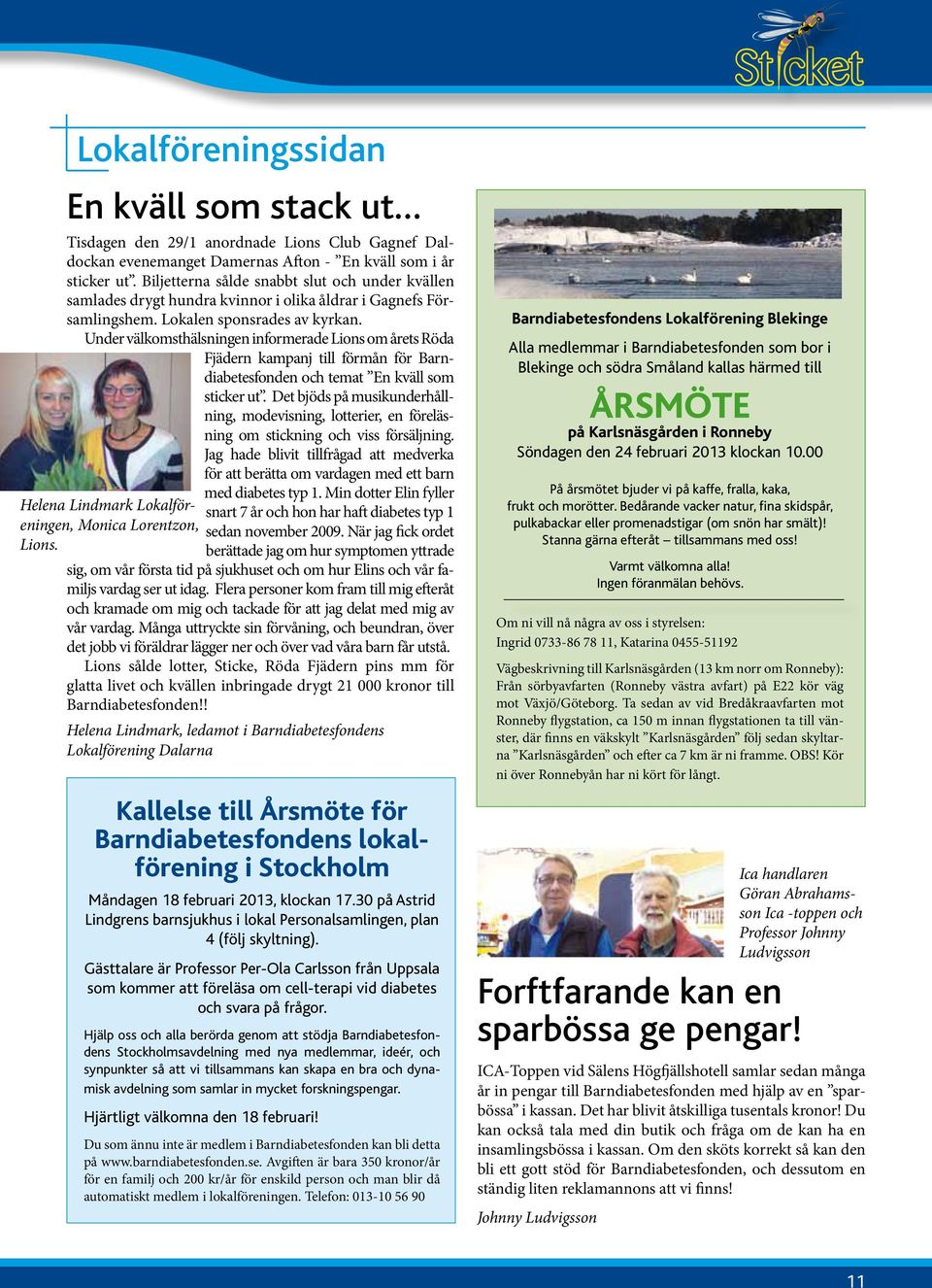 Under välkomsthälsningen informerade Lions om årets Röda Fjädern kampanj till förmån för Barndiabetesfonden och temat En kväll som sticker ut.