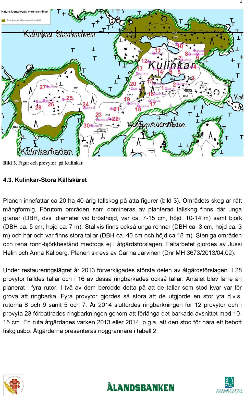 Ställvis finns också unga rönnar (DBH ca. 3 cm, höjd ca. 3 m) och här och var finns stora tallar (DBH ca. 40 cm och höjd ca.18 m).