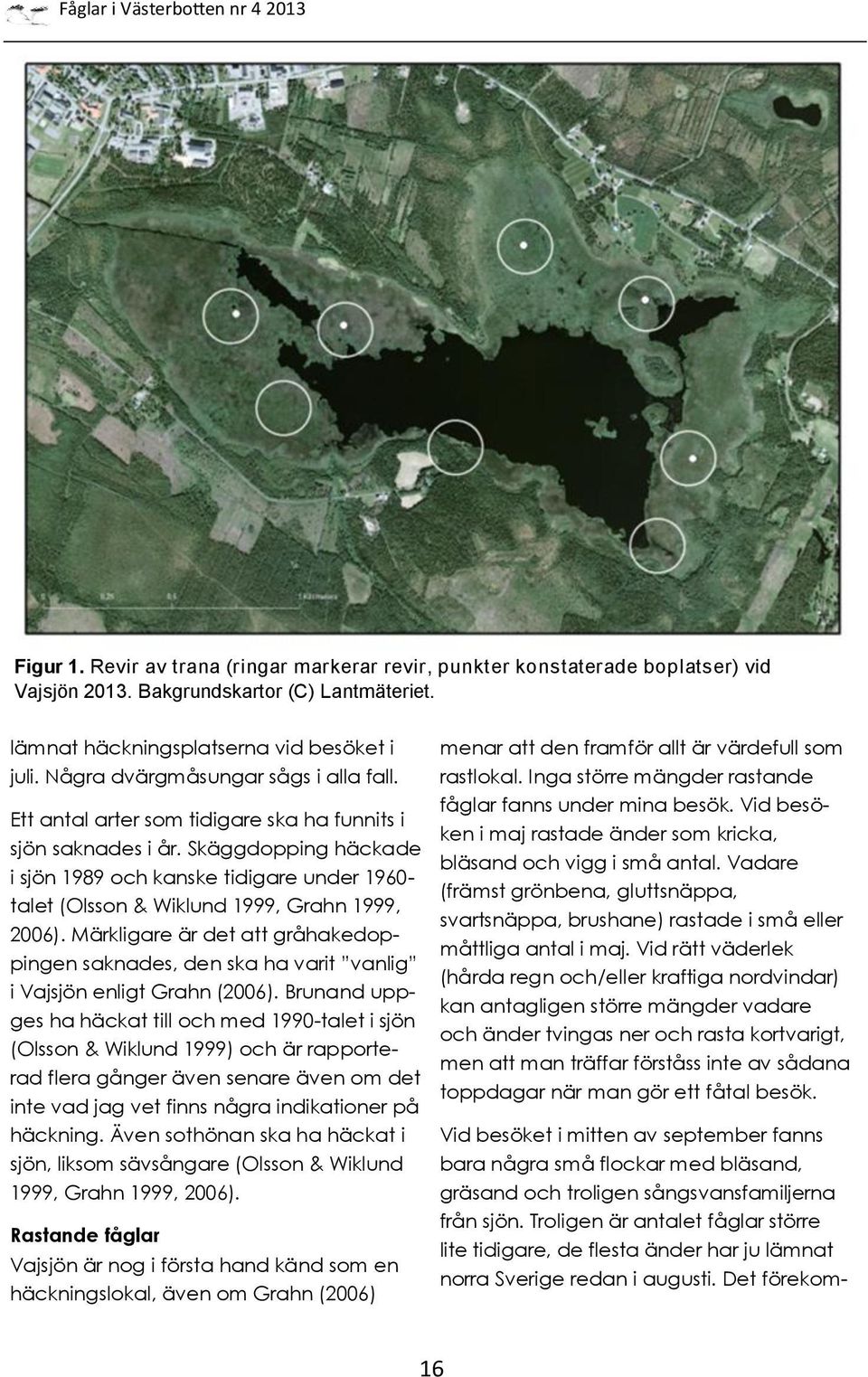 Skäggdopping häckade i sjön 1989 och kanske tidigare under 1960- talet (Olsson & Wiklund 1999, Grahn 1999, 2006).