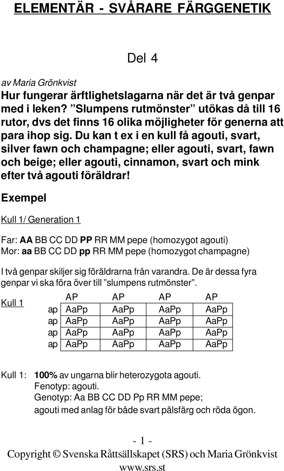 Du kan t ex i en kull få agouti, svart, silver fawn och champagne; eller agouti, svart, fawn och beige; eller agouti, cinnamon, svart och mink efter två agouti föräldrar!