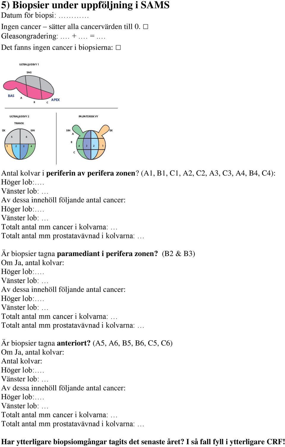 (A1, B1, C1, A2, C2, A3, C3, A4, B4, C4): Av dessa innehöll följande antal cancer: Totalt antal mm cancer i kolvarna: Totalt antal mm prostatavävnad i kolvarna: Är biopsier tagna paramediant i