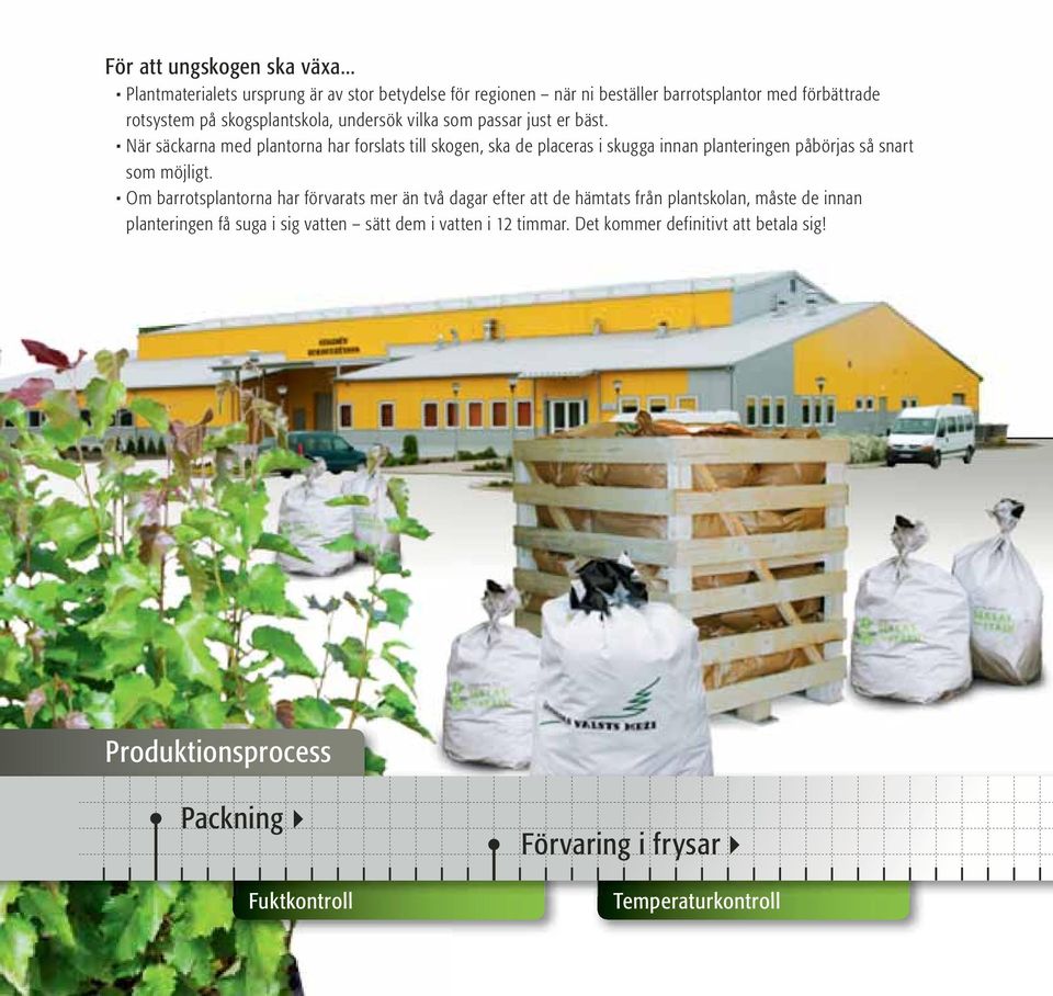 som passar just er bäst. När säckarna med plantorna har forslats till skogen, ska de placeras i skugga innan planteringen påbörjas så snart som möjligt.