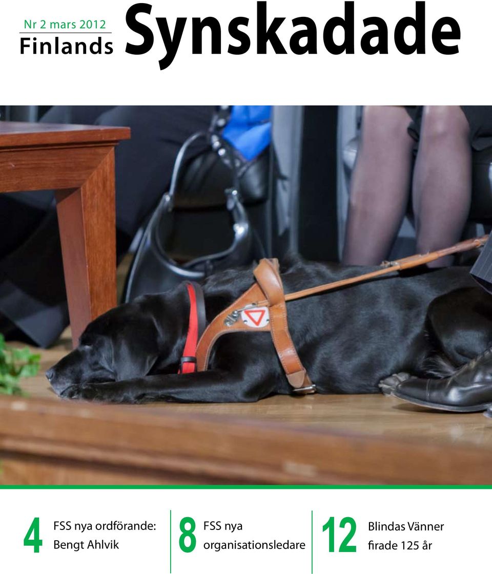 FSS nya 12 Bengt Ahlvik