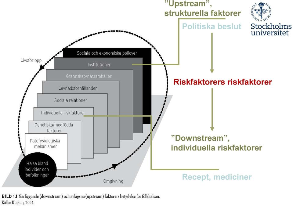 riskfaktorer Downstream,