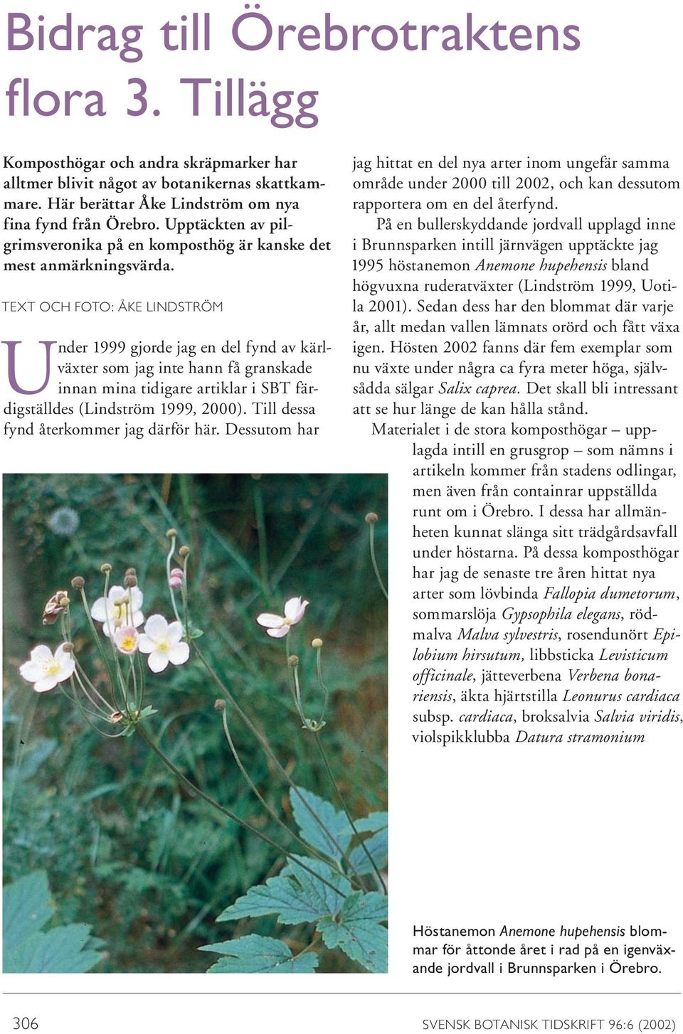 TEXT OCH FOTO: ÅKE LINDSTRÖM Under 1999 gjorde jag en del fynd av kärlväxter som jag inte hann få granskade innan mina tidigare artiklar i SBT färdigställdes (Lindström 1999, 2000).