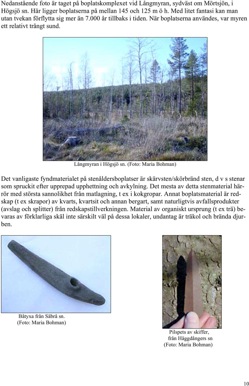 (Foto: Maria Bohman) Det vanligaste fyndmaterialet på stenåldersboplatser är skärvsten/skörbränd sten, d v s stenar som spruckit efter upprepad upphettning och avkylning.