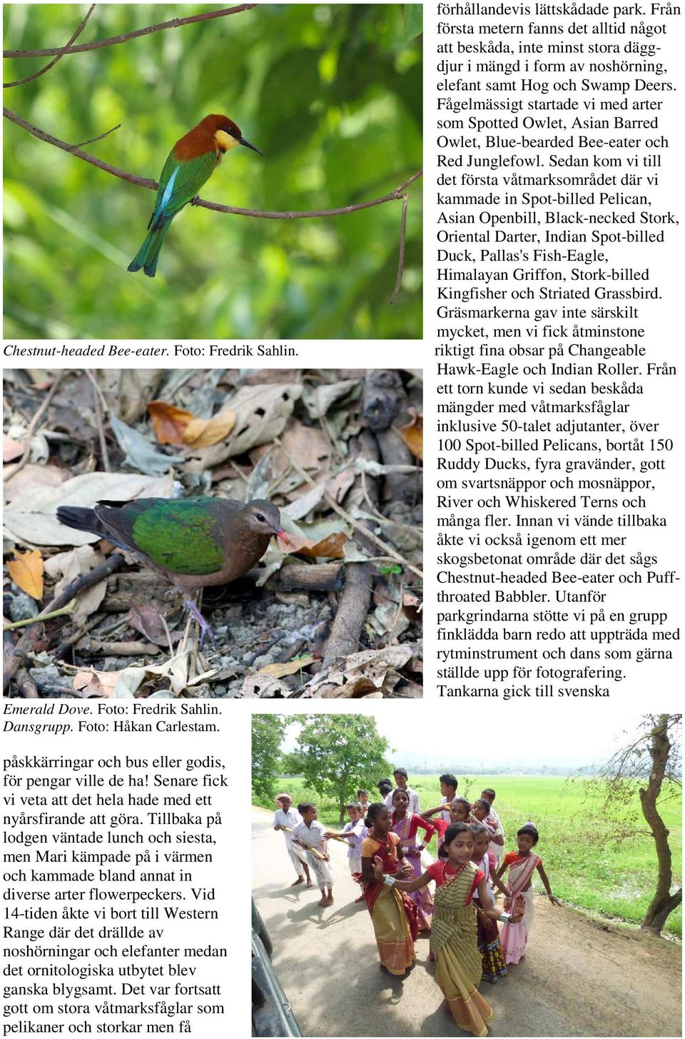 Fågelmässigt startade vi med arter som Spotted Owlet, Asian Barred Owlet, Blue-bearded Bee-eater och Red Junglefowl.