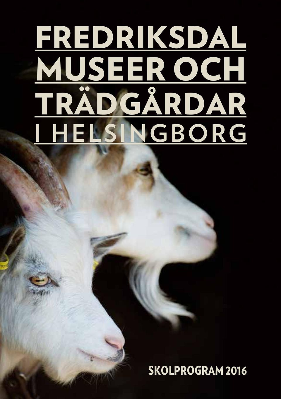 TRÄDGÅRDAR I