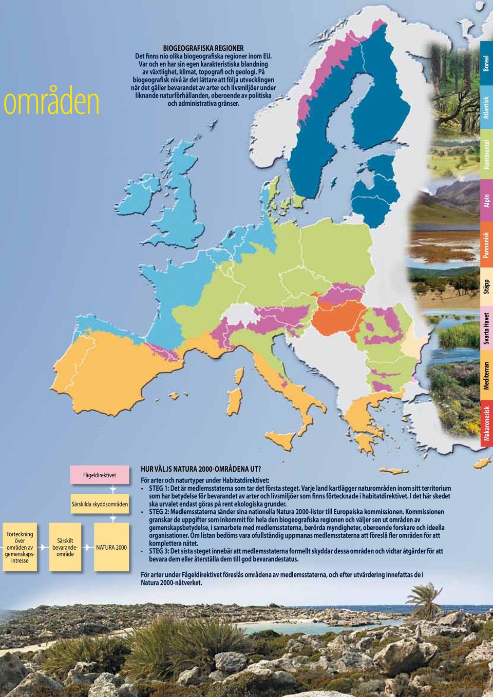 Makaronesisk Stäpp Pannonisk Alpin Kontinental Atlantisk Boreal Mediterran Svarta Havet Förteckning över områden av gemenskapsintresse Särskilt bevarandeområde Fågeldirektivet Särskilda skyddsområden