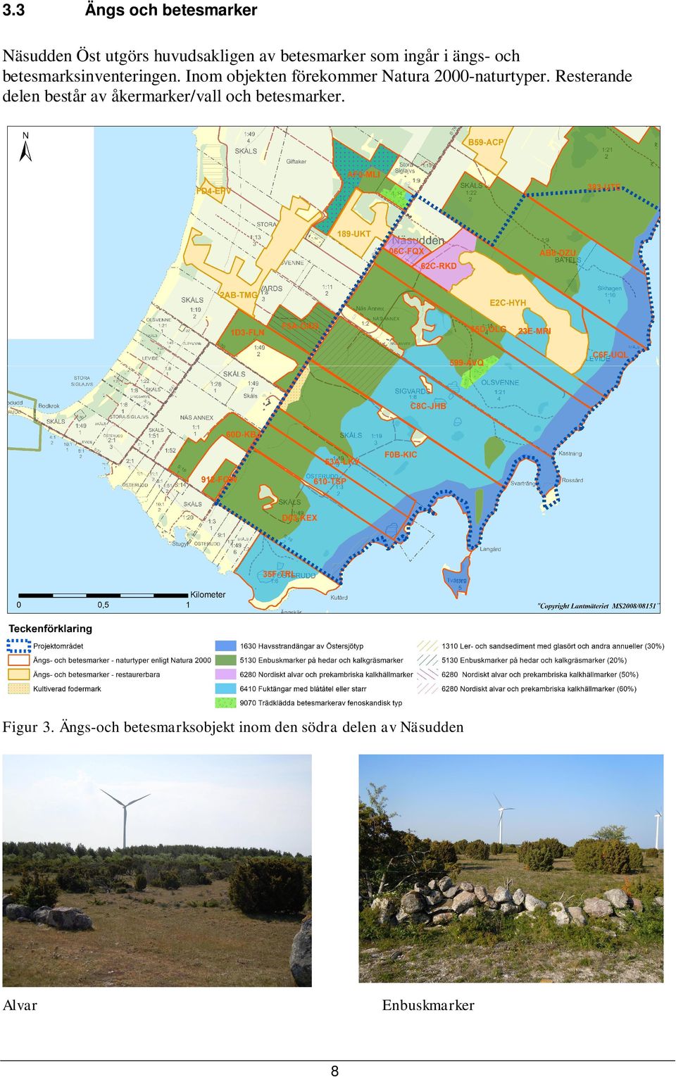 Inom objekten förekommer Natura 2000-naturtyper.