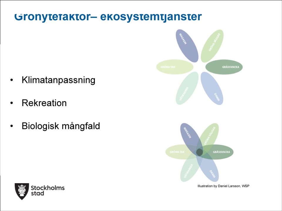 Recreation Biodiversity Klimatanpassning