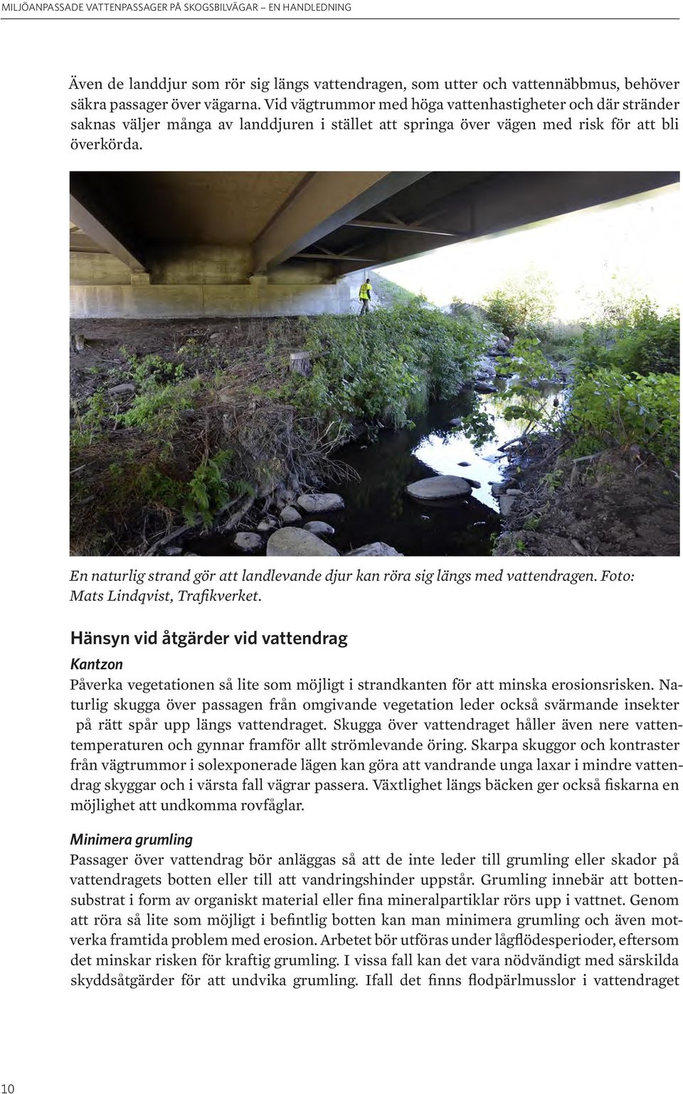 En naturlig strand gör att landlevande djur kan röra sig längs med vattendragen. Foto: Mats Lindqvist, Trafikverket.