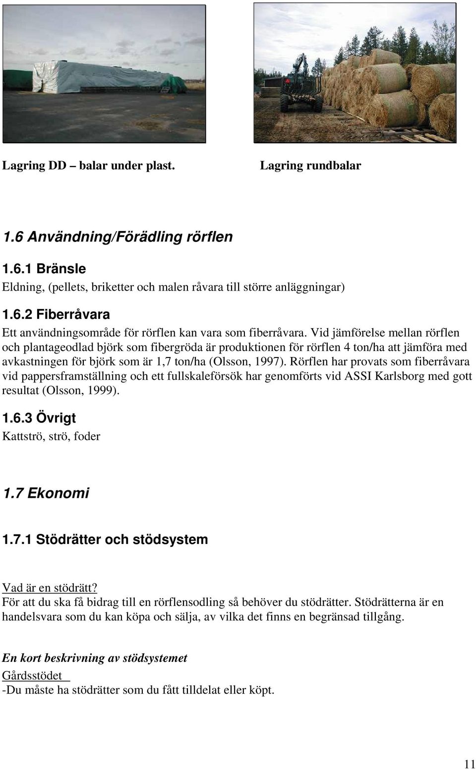 Rörflen har provats som fiberråvara vid pappersframställning och ett fullskaleförsök har genomförts vid ASSI Karlsborg med gott resultat (Olsson, 1999). 1.6.3 Övrigt Kattströ, strö, foder 1.