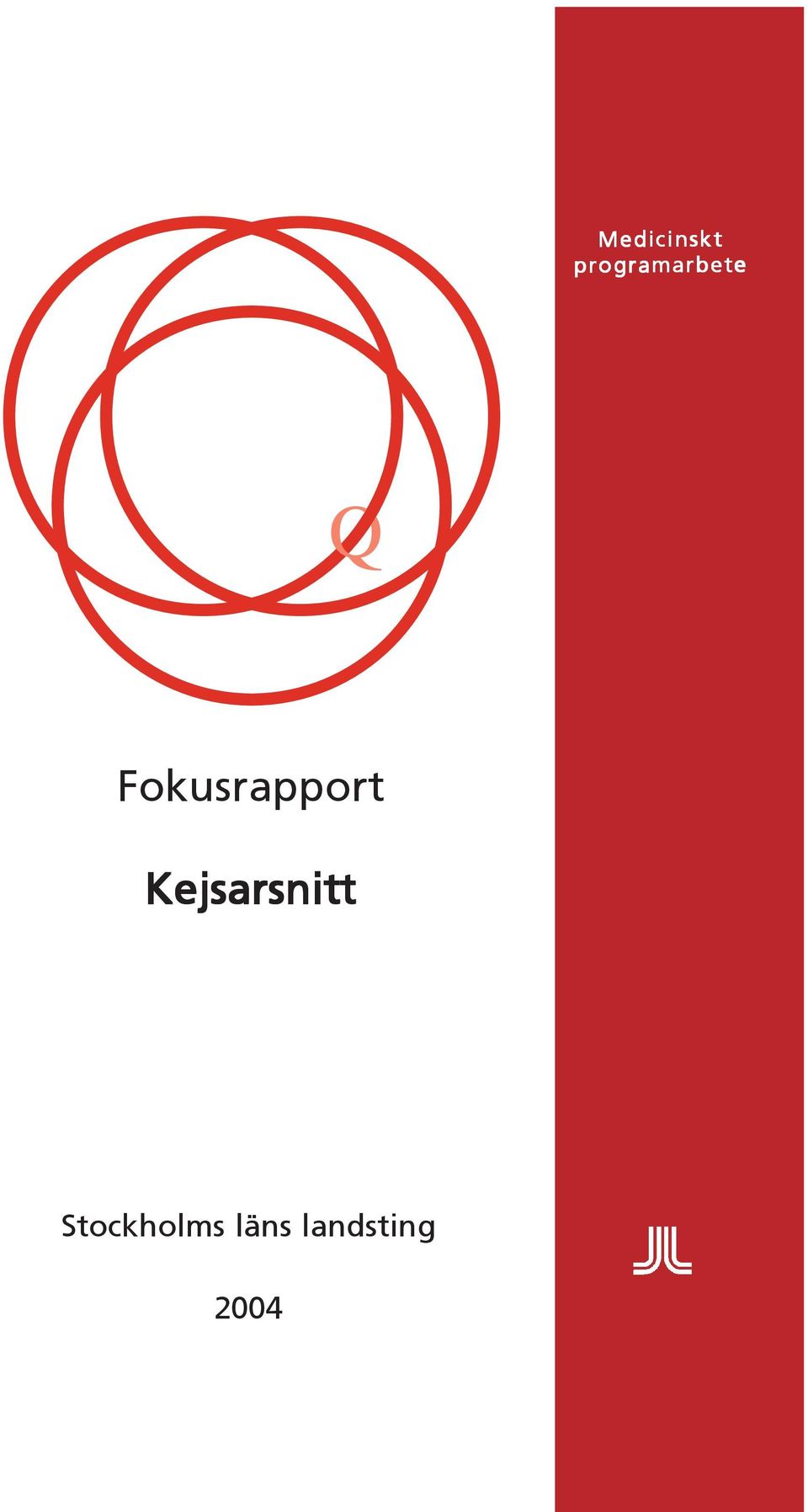 Fokusrapport