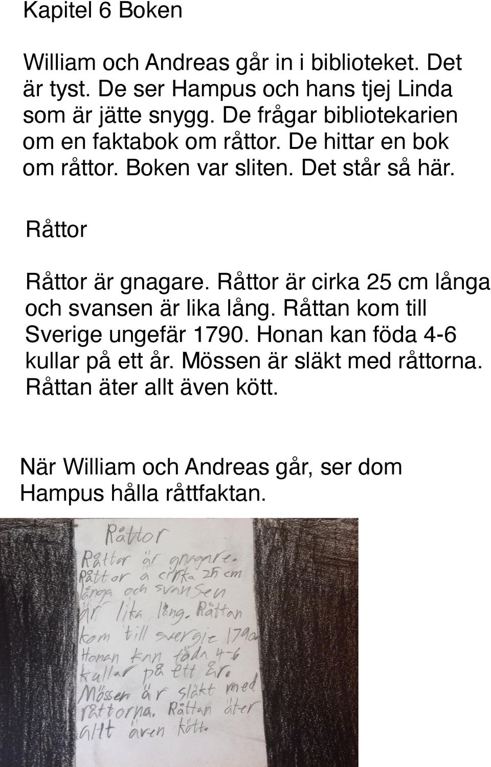 Råttor Råttor är gnagare. Råttor är cirka 25 cm långa och svansen är lika lång. Råttan kom till Sverige ungefär 1790.